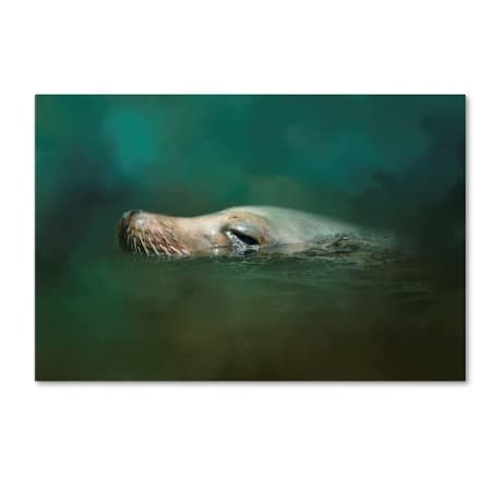 Jai Johnson 'The Sea Lion Emerges' Canvas Art,16x24